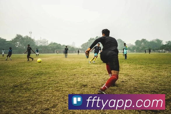 非凡体育APP服务体系